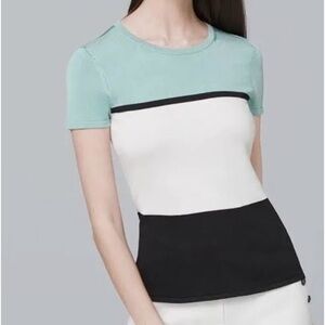 White House black market color block sweater